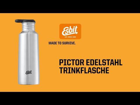 ESBIT Edelstahl Trinkflasche PICTOR 350 ml