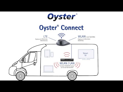 TEN HAAFT Oyster Connect Vision